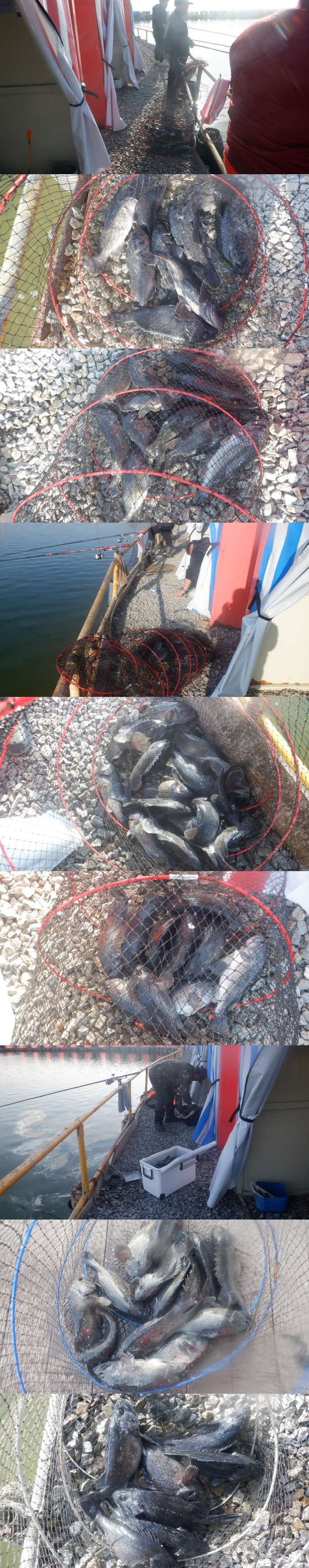 199f7329560f18721070b418623fa97f_1772275