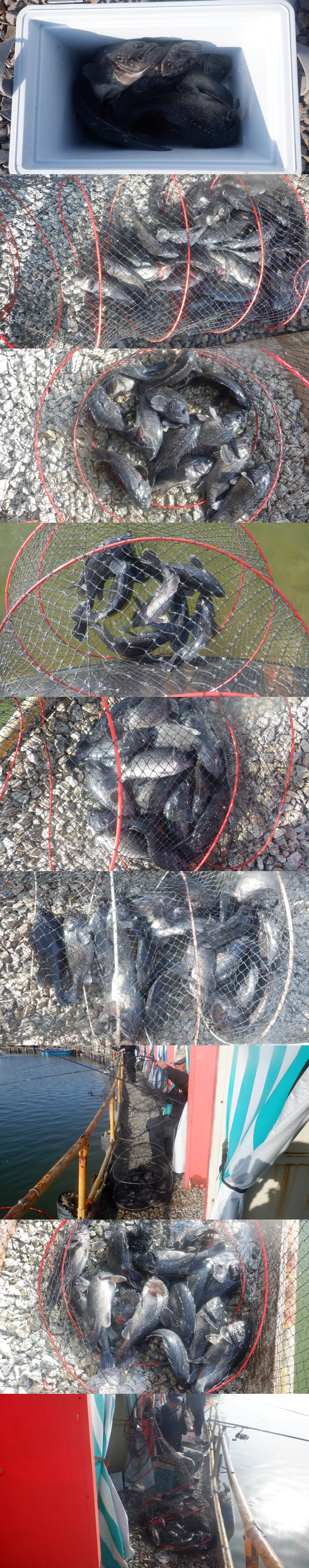 199f7329560f18721070b418623fa97f_1772275