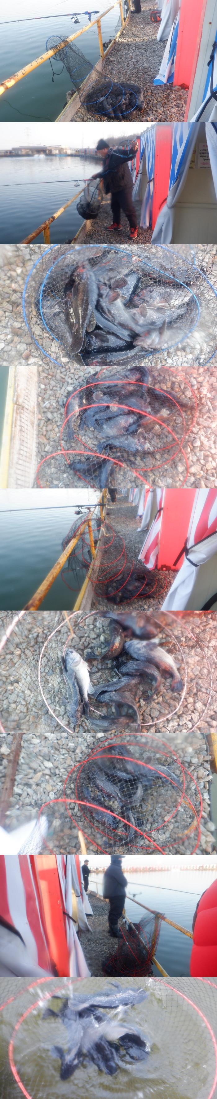 1d712d45e17c16c34e7c170b796e760a_1772243