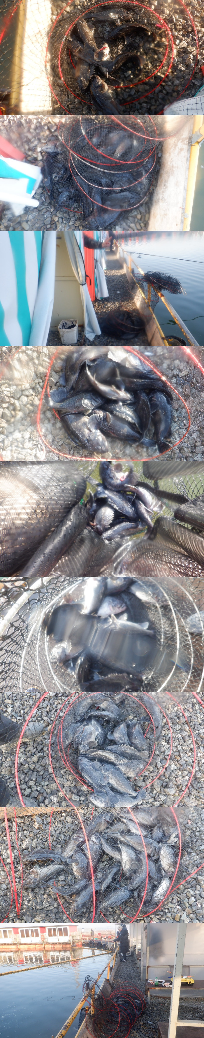 1d712d45e17c16c34e7c170b796e760a_1772243