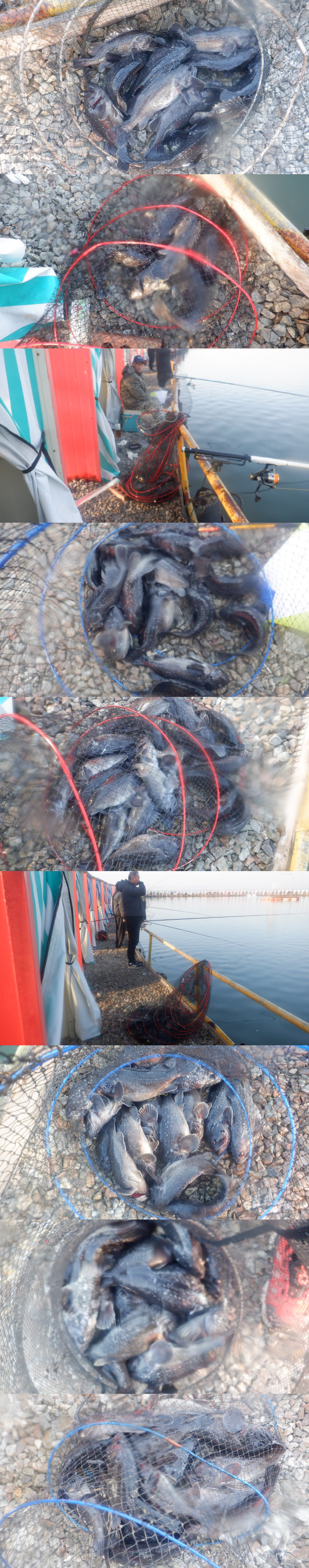 1d712d45e17c16c34e7c170b796e760a_1772243