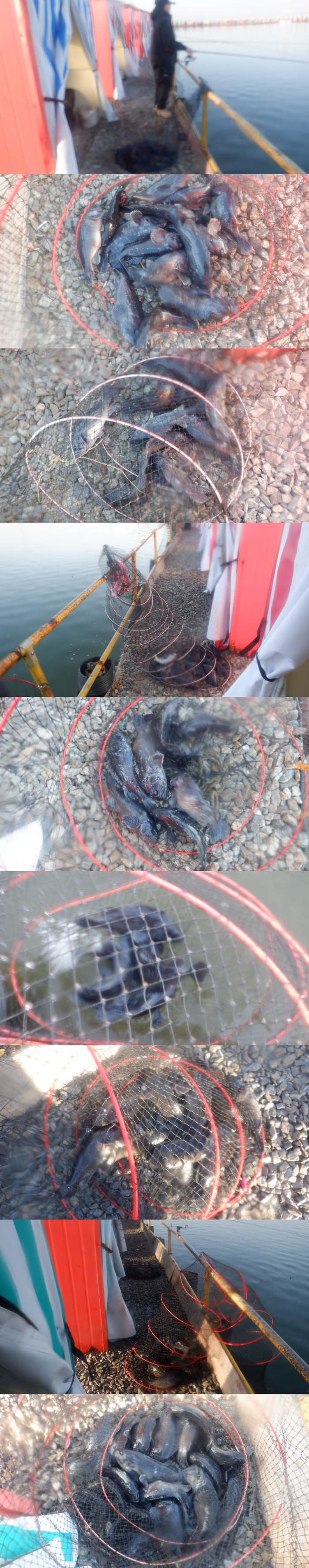 1d712d45e17c16c34e7c170b796e760a_1772243