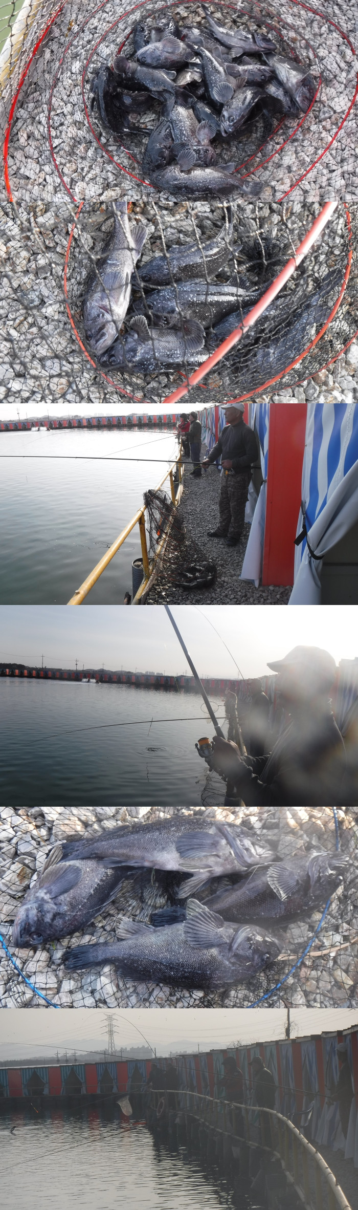 3857ef4fb1124a065d3427cb64441dd3_1771141