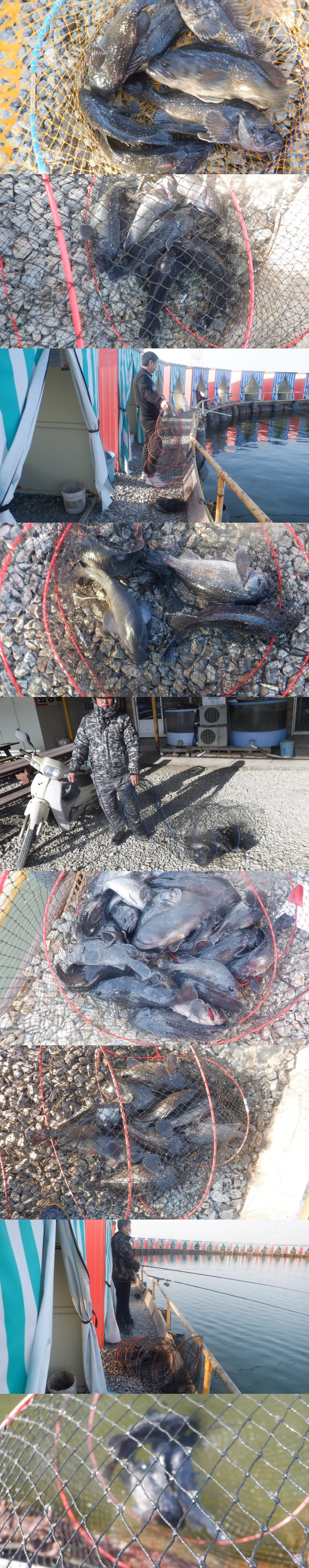 62a49260dfa8863009e3ecb18bbd5c48_1771661