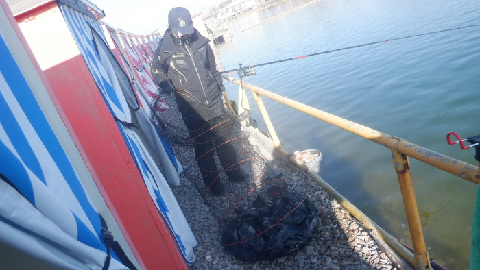 b945cc1a746f64e7c54c9550f482a7b9_1771400