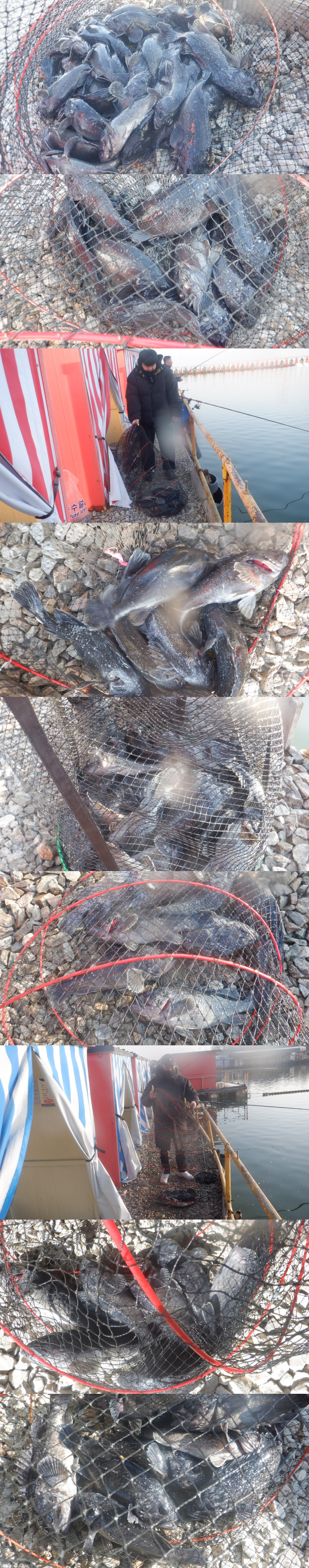 b945cc1a746f64e7c54c9550f482a7b9_1771400