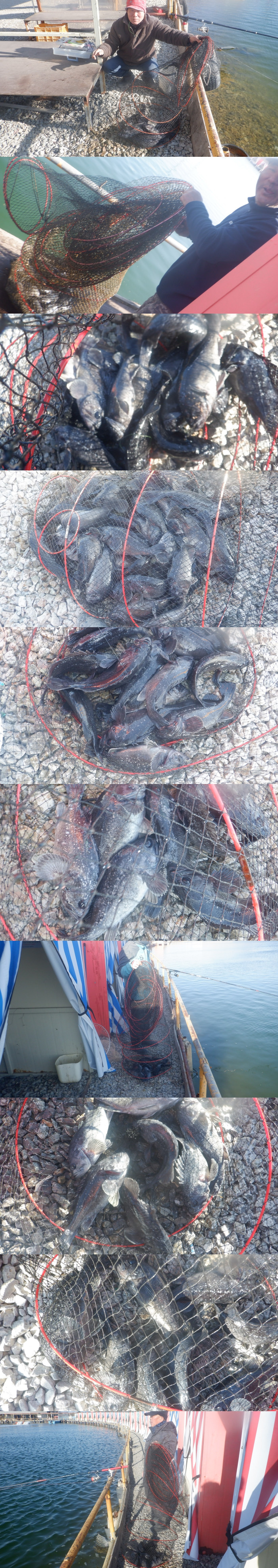 b945cc1a746f64e7c54c9550f482a7b9_1771400