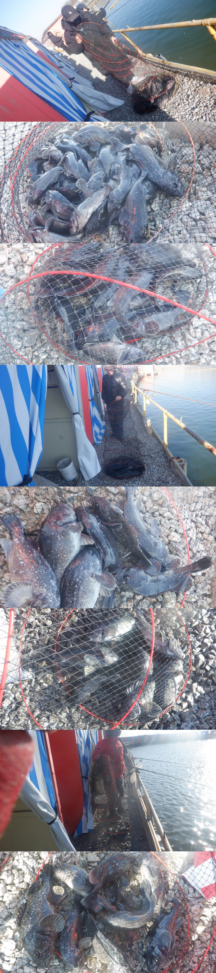 b945cc1a746f64e7c54c9550f482a7b9_1771400