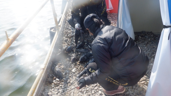 b945cc1a746f64e7c54c9550f482a7b9_1771574