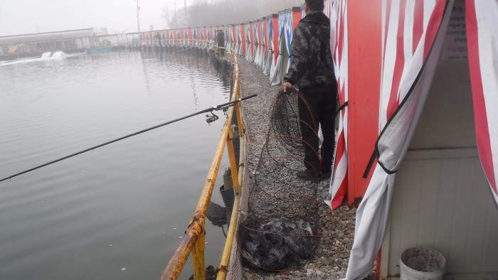 d80dad086659e51e2d6436e1c061a05f_1771055