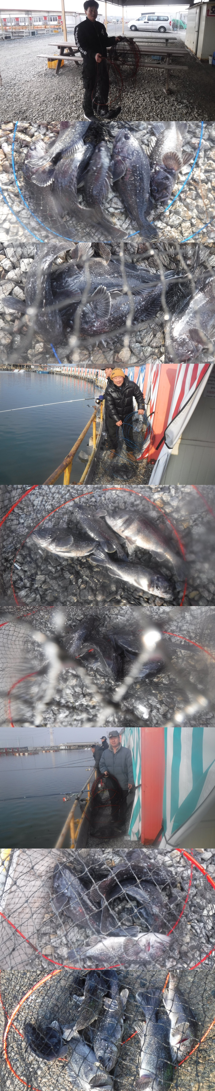 d80dad086659e51e2d6436e1c061a05f_1771055