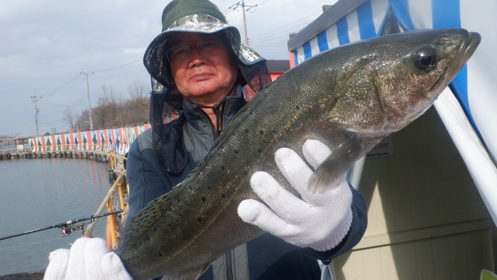 253ac75f85e081df9c634bea3f7612dc_1774941