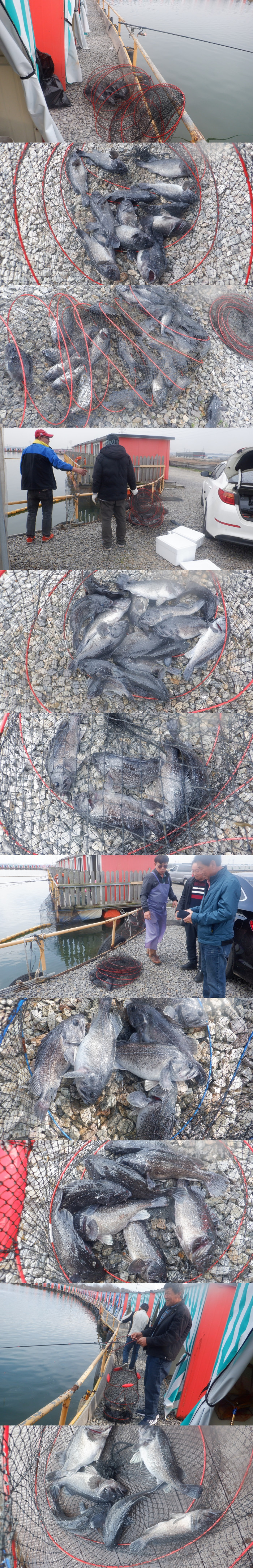 253ac75f85e081df9c634bea3f7612dc_1774941