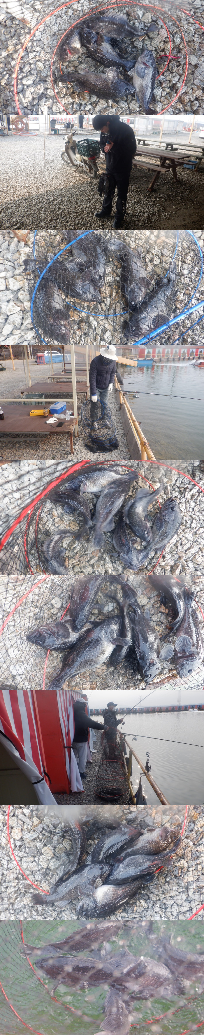 42107f037230d95a8712b2492cd4e9a6_1773214