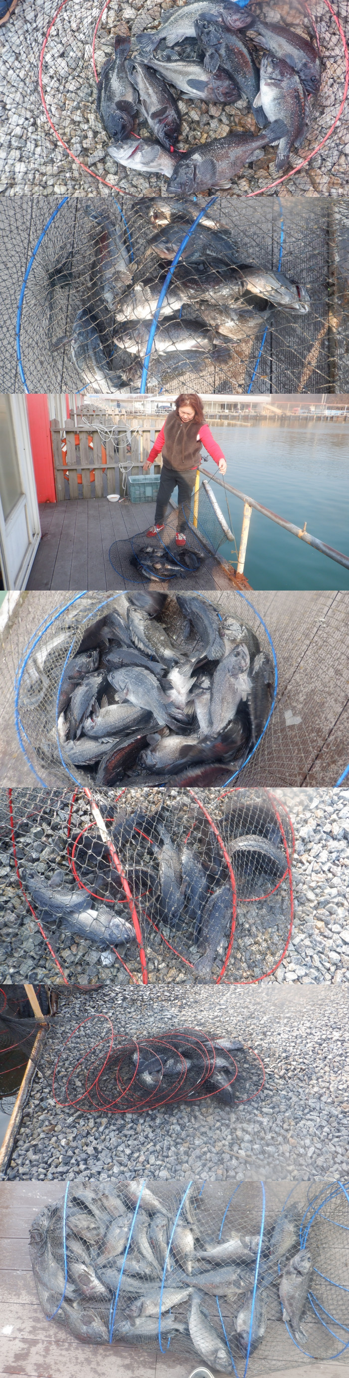 42107f037230d95a8712b2492cd4e9a6_1773304