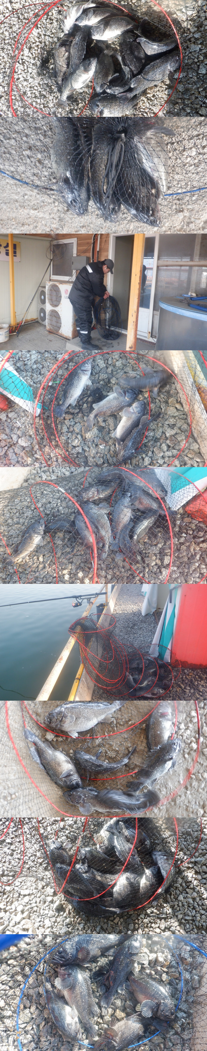 42107f037230d95a8712b2492cd4e9a6_1773392