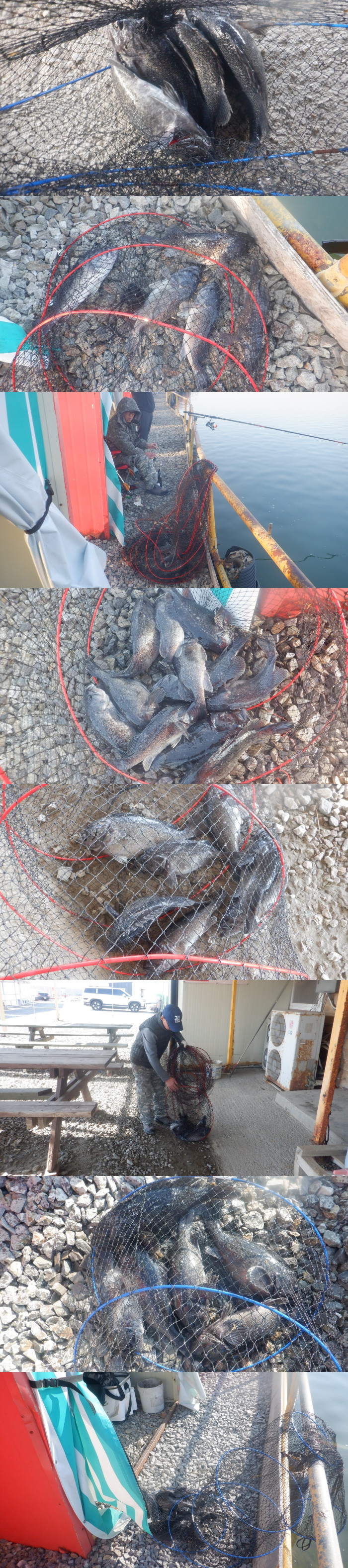 42107f037230d95a8712b2492cd4e9a6_1773392