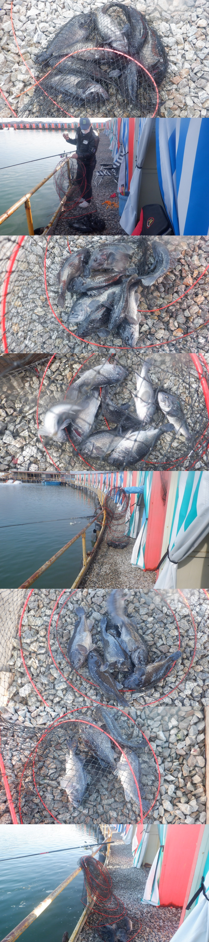 4a91ae3e2842a56d01eede9ac7369818_1773905