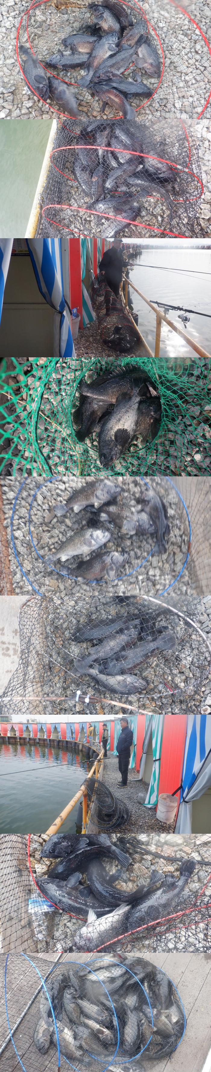 75dae37e0c730a145bdd1d587986c2c6_1772358