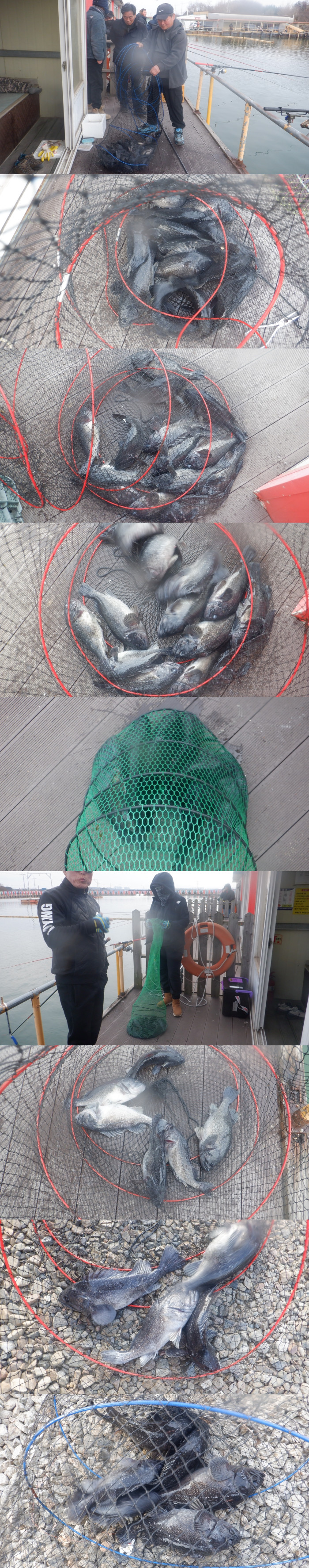 75dae37e0c730a145bdd1d587986c2c6_1772358