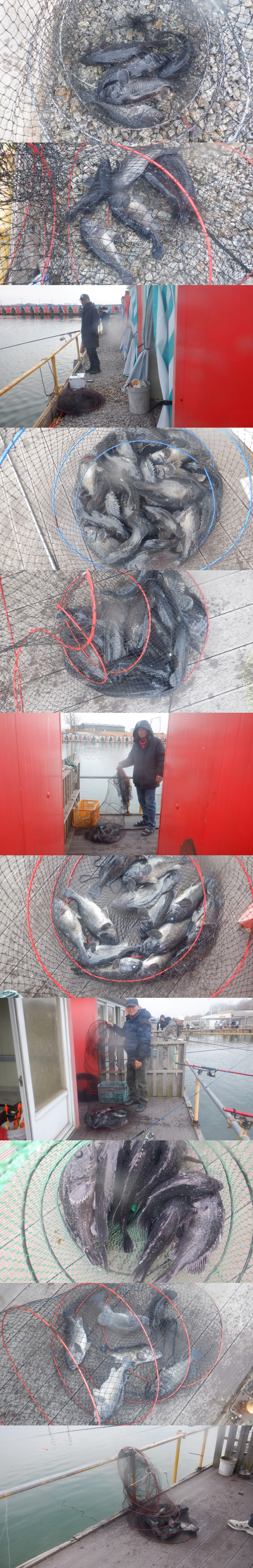 75dae37e0c730a145bdd1d587986c2c6_1772358