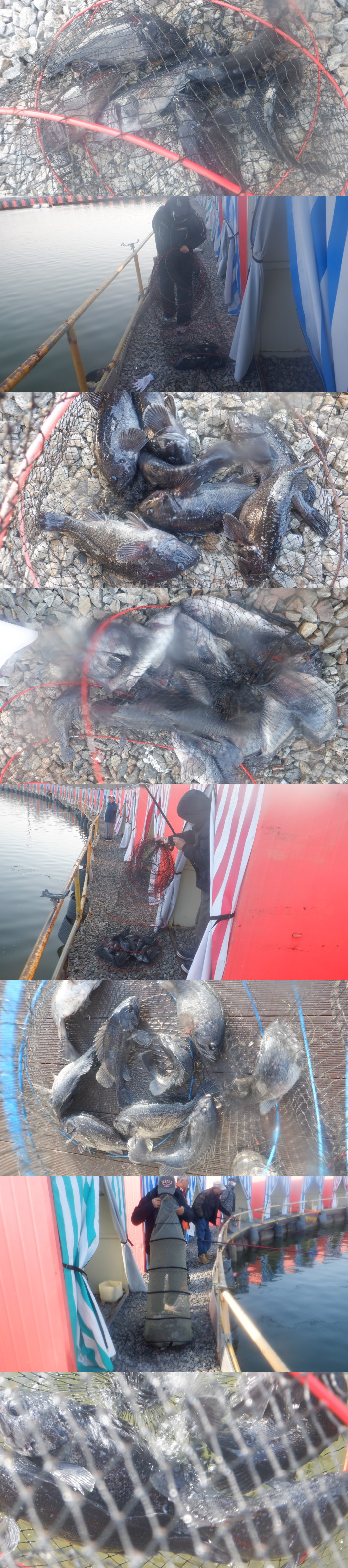 89141338ee3f68d35b320d4491099339_1772611