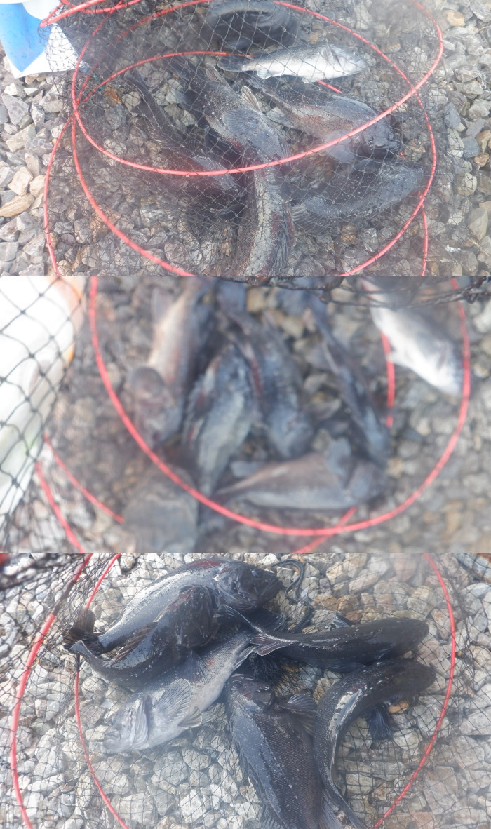 89141338ee3f68d35b320d4491099339_1772611