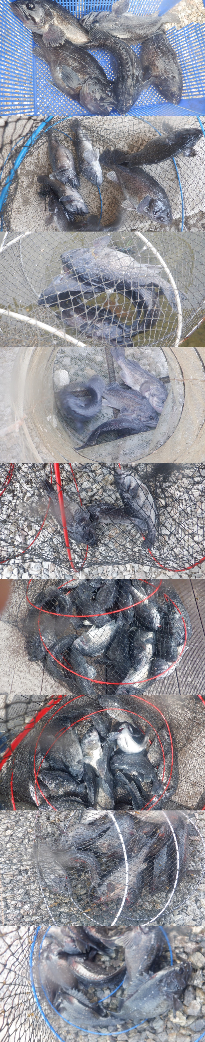 cd16e95a1df8e6e4189501252322f1f5_1774425