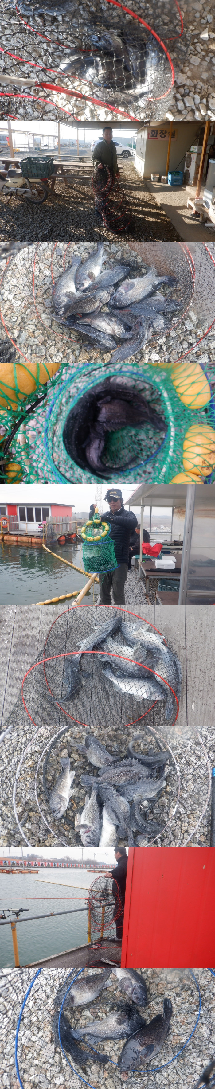 cd7153b8d9cf7f4f48508ac935dd284b_1774771