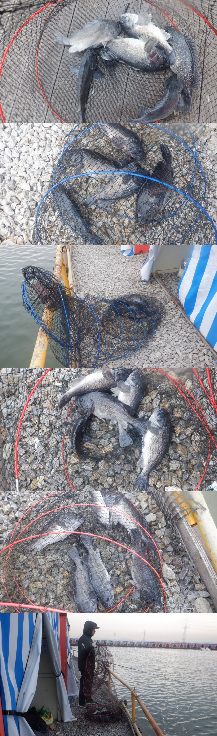 cd7153b8d9cf7f4f48508ac935dd284b_1774771