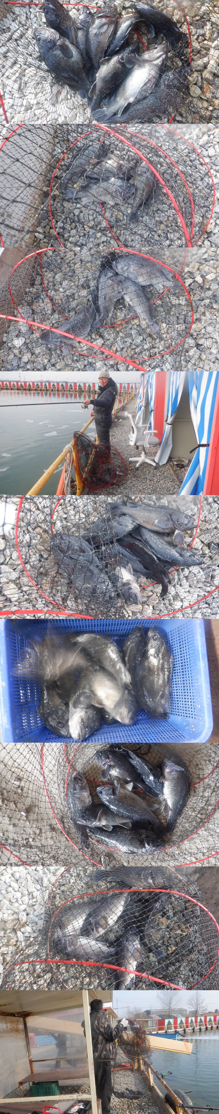 d7f91c500374c6a5aecf47f441cb3fec_1773475