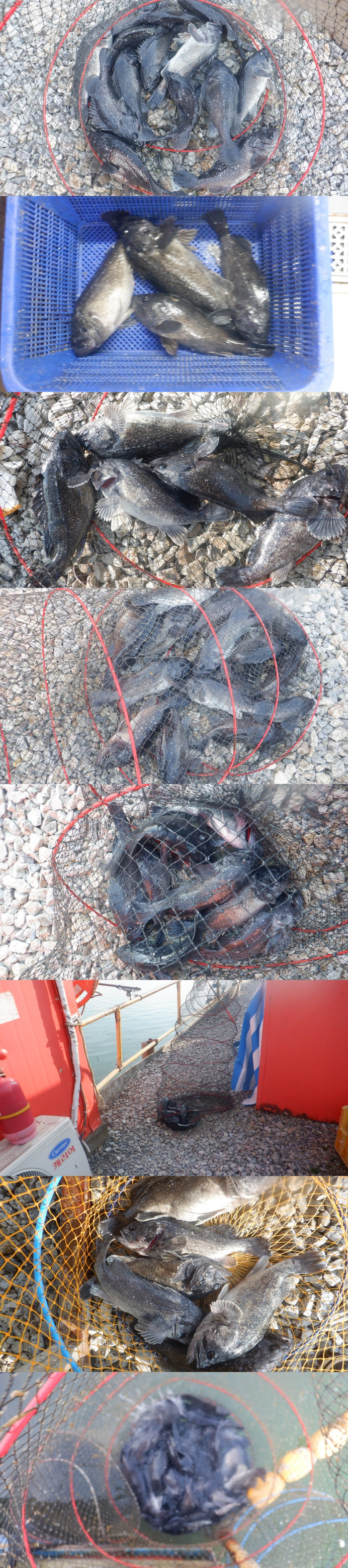 e13cca2097f3b4f8725d3819e8e93f8d_1773997