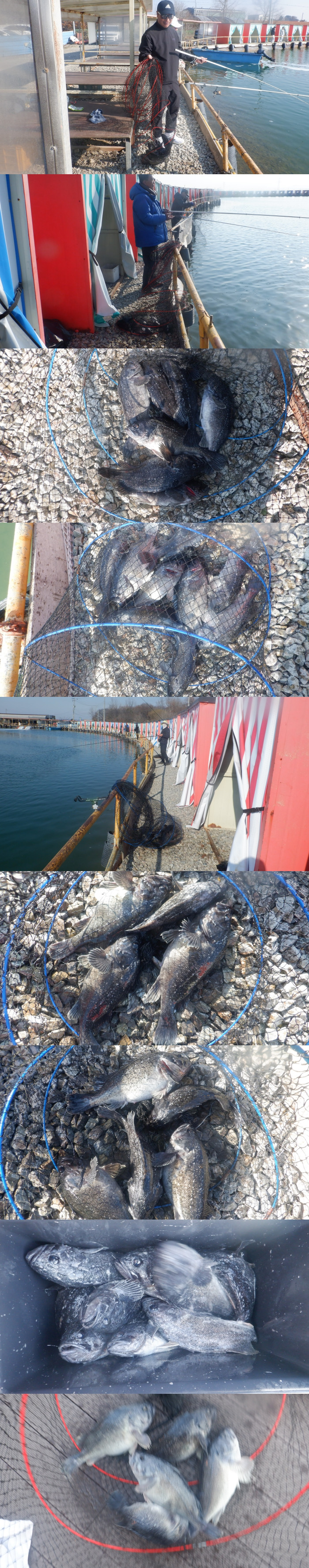 e8d93995d3b20281c09c3b075b698ab6_1774079