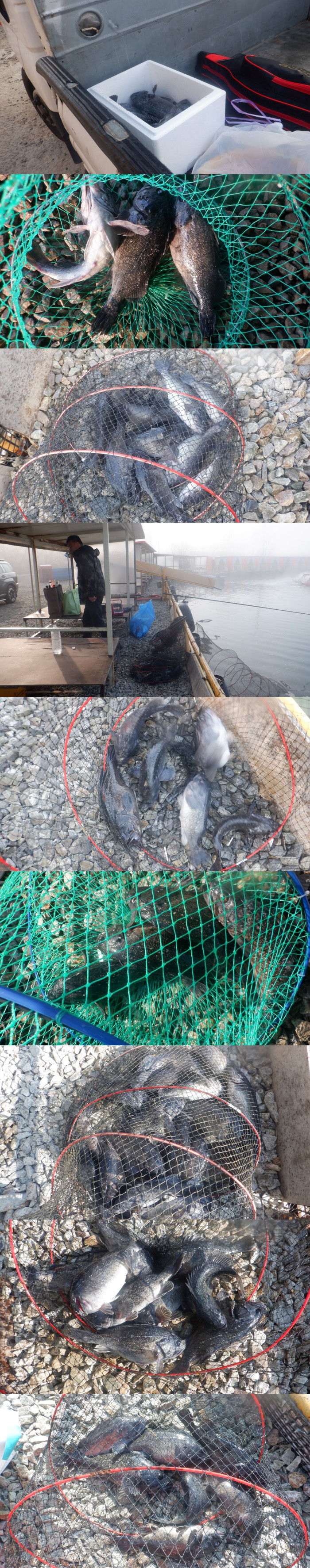 e8d93995d3b20281c09c3b075b698ab6_1774079