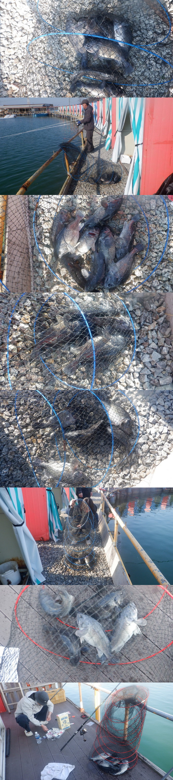 e8d93995d3b20281c09c3b075b698ab6_1774079