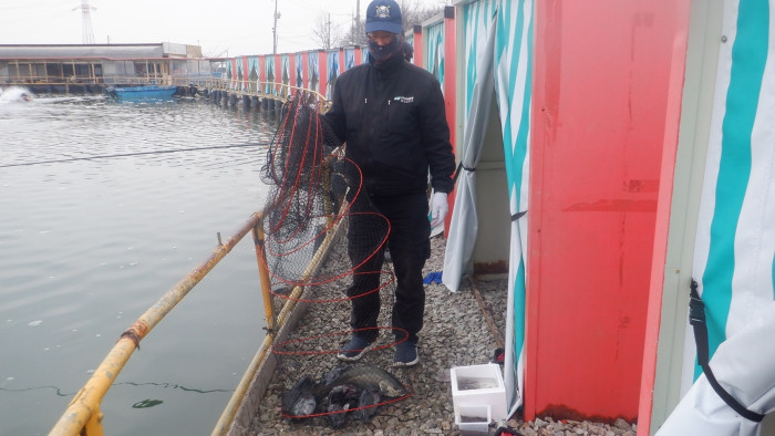 ecea6f3d6b8c0adc67f68691c087e499_1774172