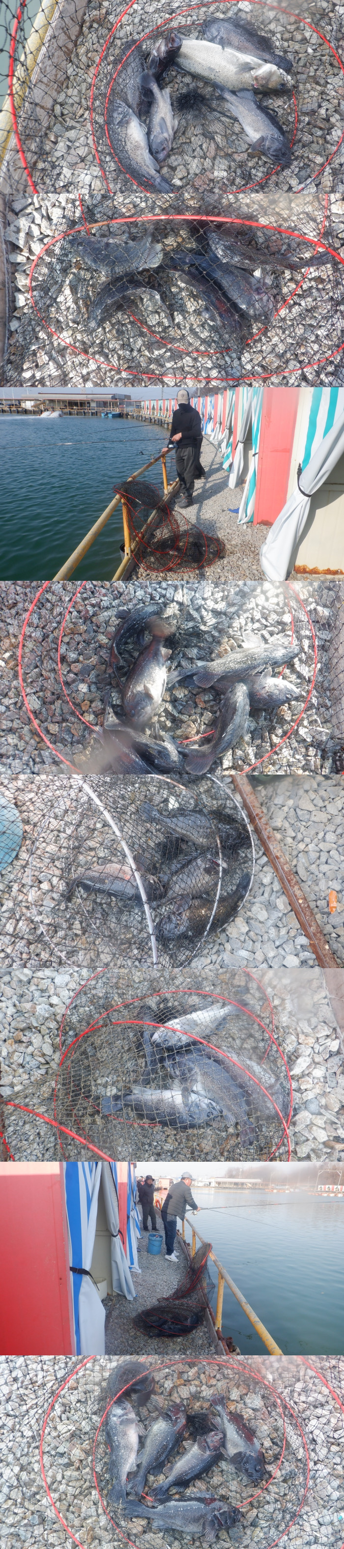 ecea6f3d6b8c0adc67f68691c087e499_1774172