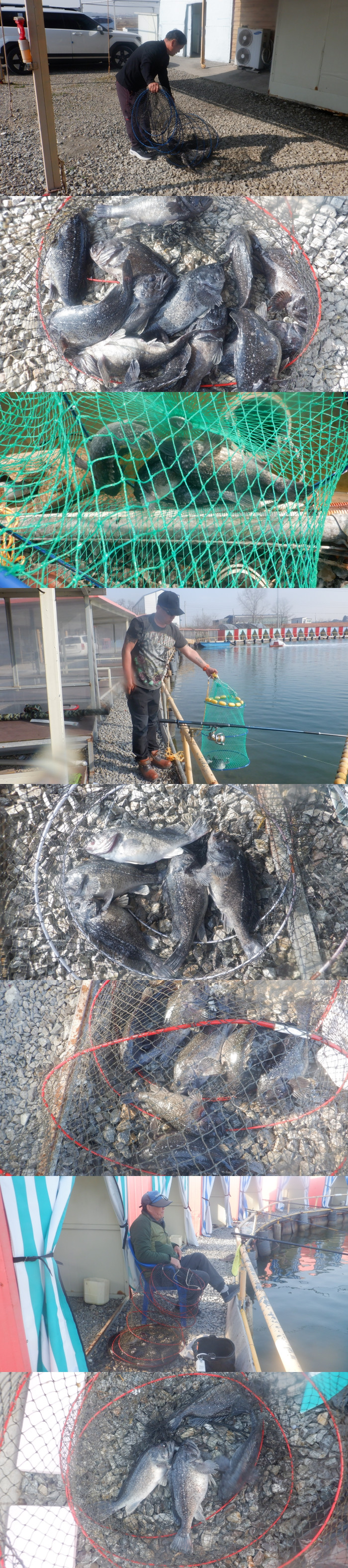 ecea6f3d6b8c0adc67f68691c087e499_1774251