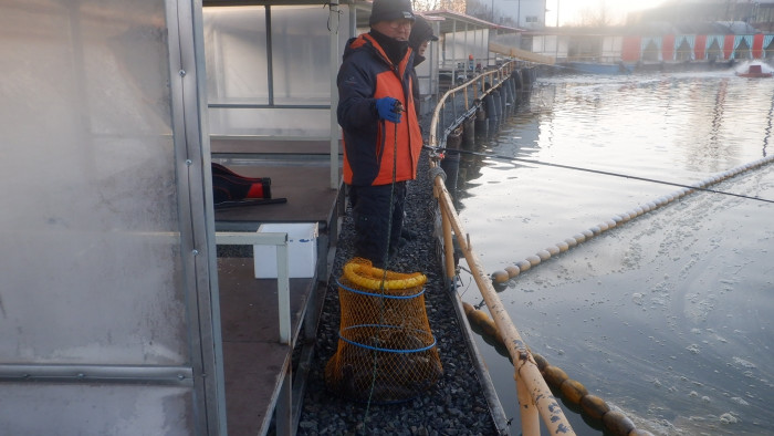 ef357a3e833d55c8fe7ff83f2042bfb4_1772959