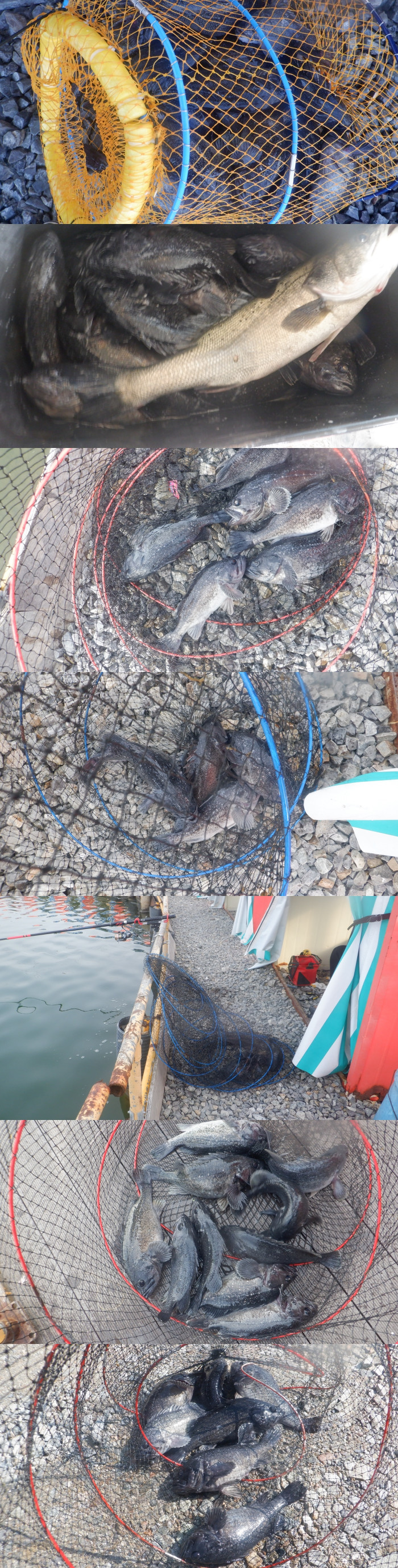 ef357a3e833d55c8fe7ff83f2042bfb4_1772959