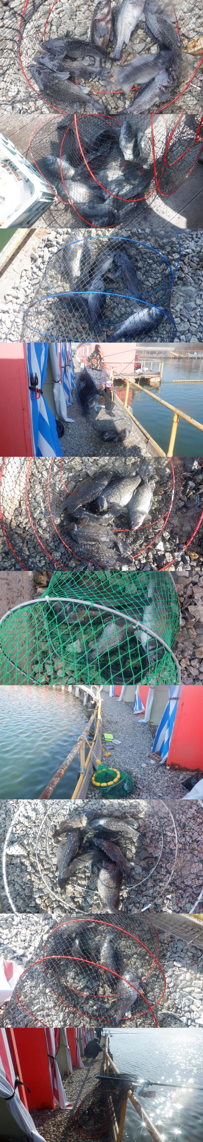 ffba645c304402f0115d89658a2d2377_1774683