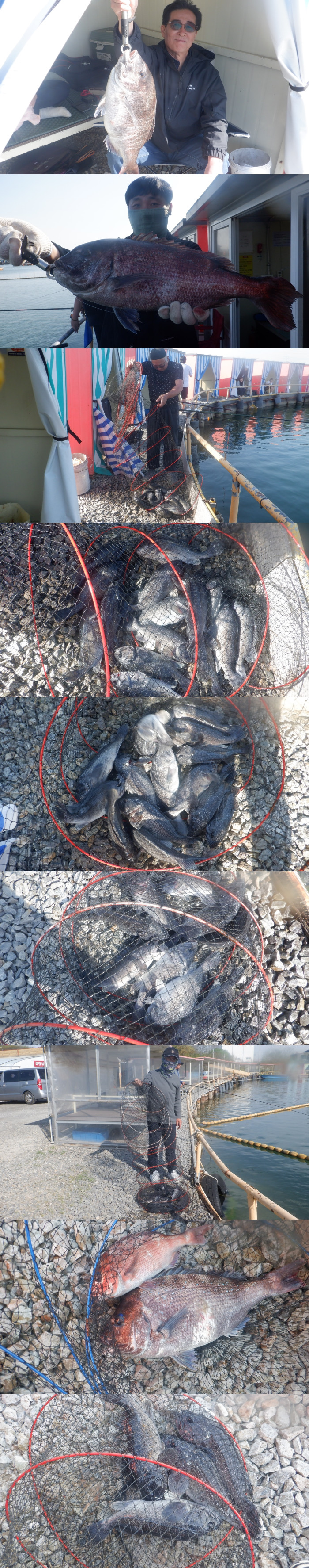 06eeae79b52b309d486460cb7491639f_1777103