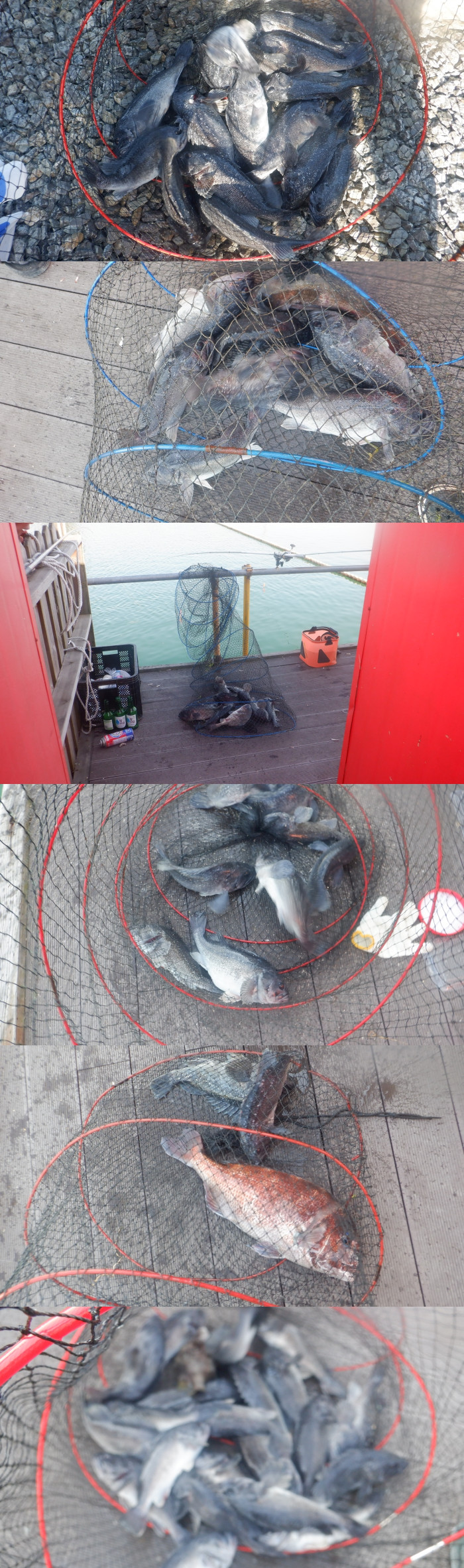 06eeae79b52b309d486460cb7491639f_1777103