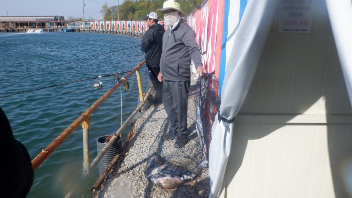 06eeae79b52b309d486460cb7491639f_1777190