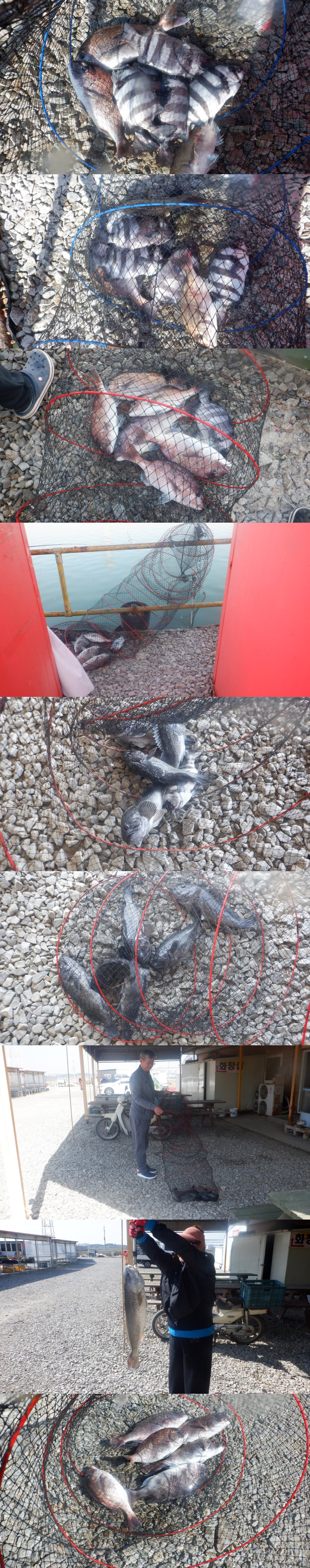 06eeae79b52b309d486460cb7491639f_1777190