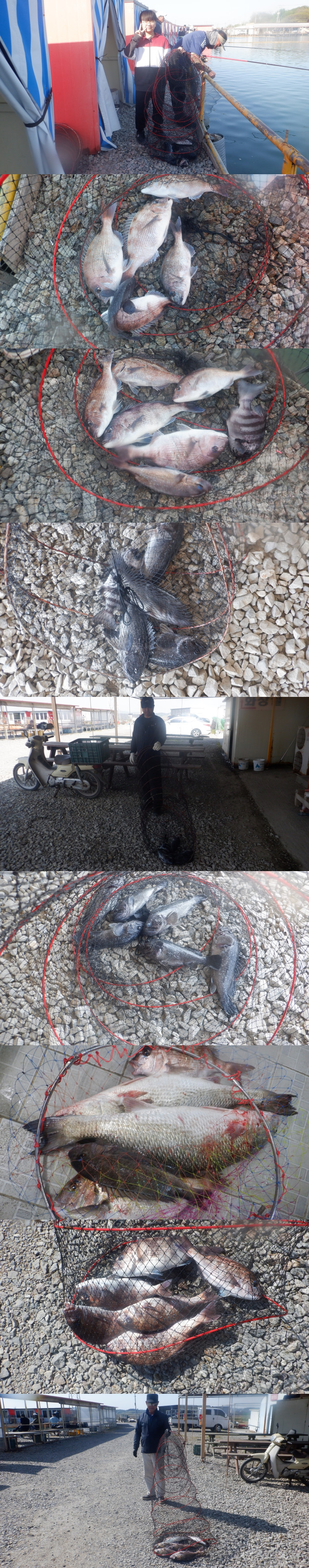 06eeae79b52b309d486460cb7491639f_1777190