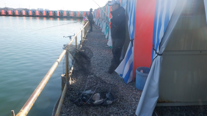 0f3a84be98dcd109cd1eaffd6e94ba40_1775635