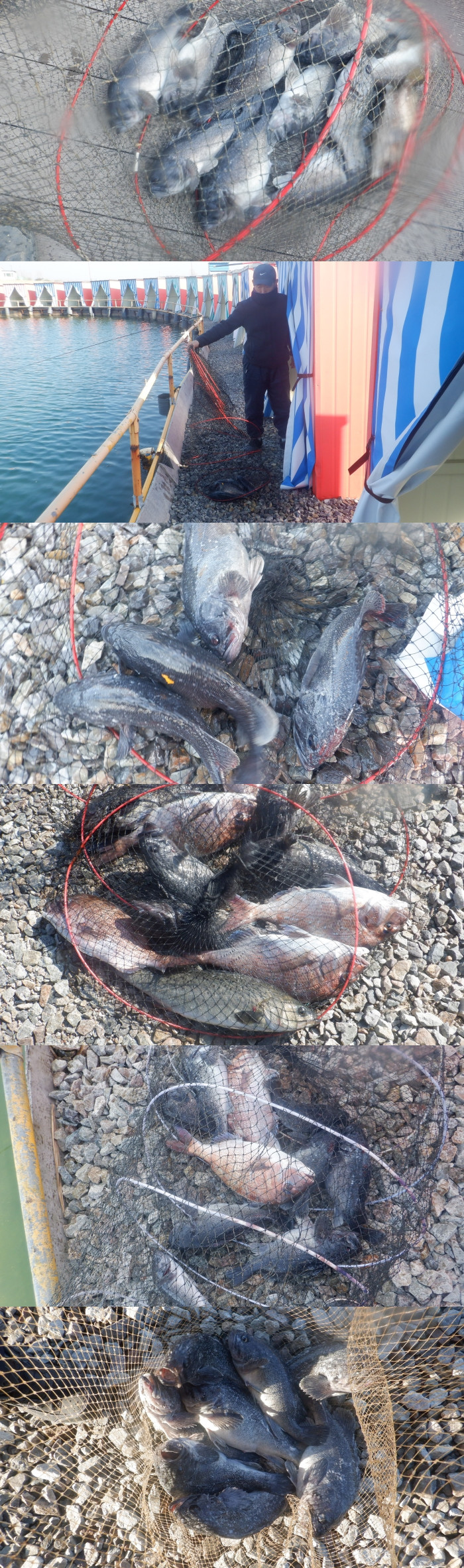 0f3a84be98dcd109cd1eaffd6e94ba40_1775635