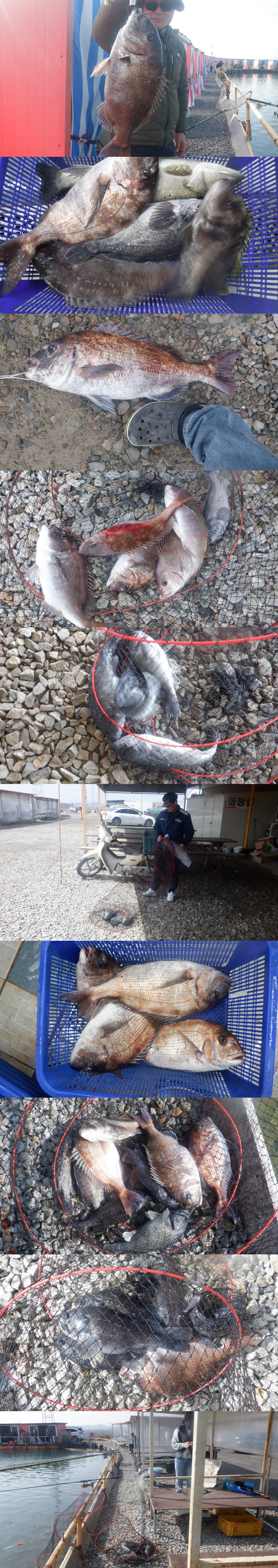 1ca09be6beb117098a7f683c7152157c_1775901