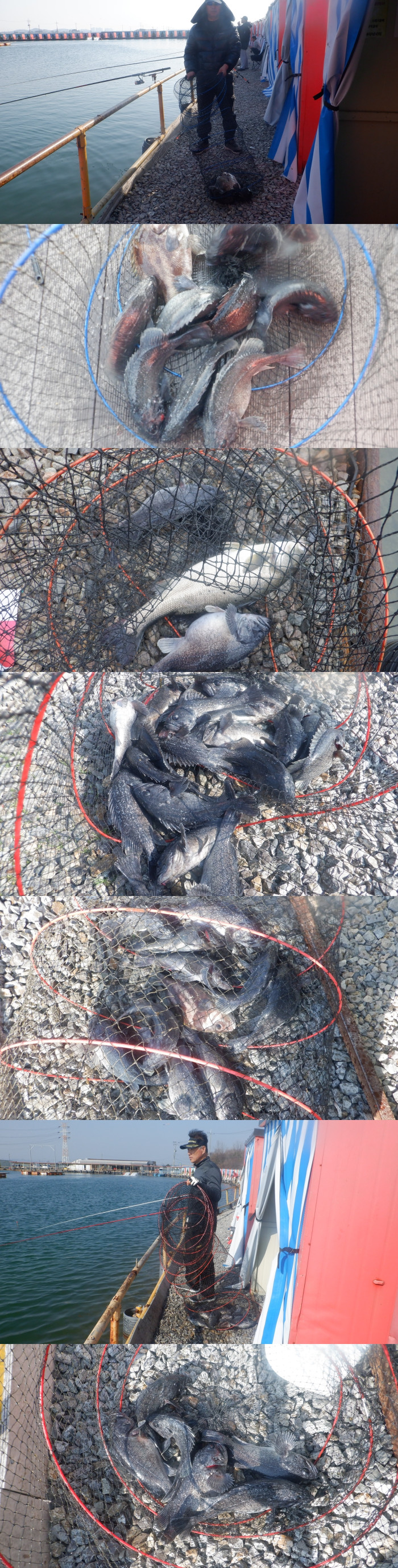 29dddf476a5ad32bd1ba39a4577617a1_1775376